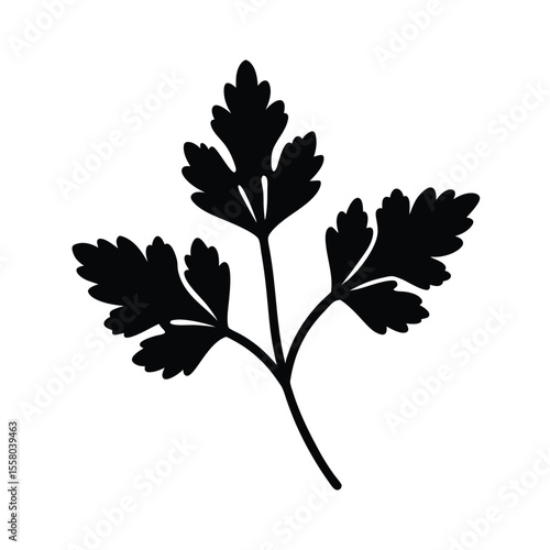 Coriander Icon Outline Vector Illustration