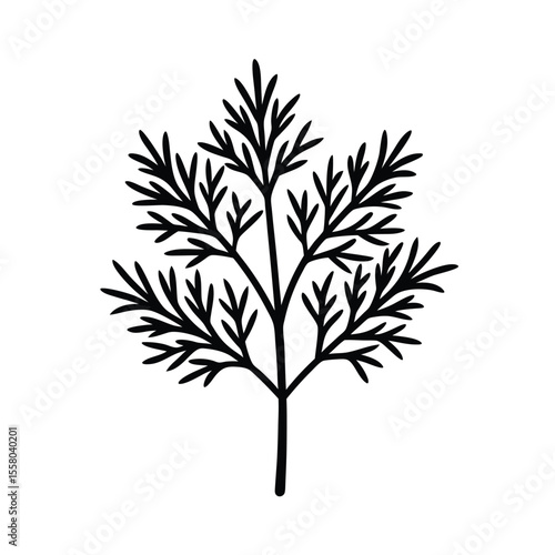 Dill Icon Outline Vector Illustration