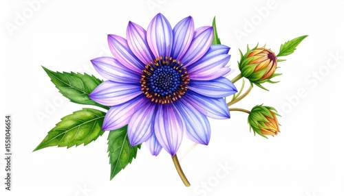 Vibrant Blue-Purple Flower with Green Leaves and Buds on a White Background, Showcasing Intricate Petal Details and Natural Beauty in Floral Design