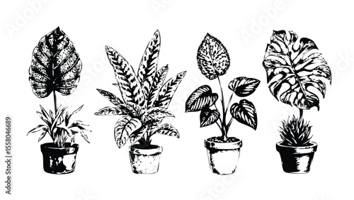 Houseplant Leaves Icon Pack in Stipple Ink Style. Black and White Vector Collection of Popular Potted Plants. Vintage Botanical Drawing Set