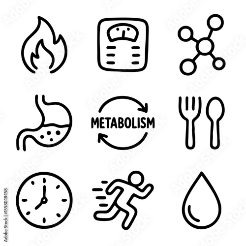 A set of doodle line icons representing metabolism, digestion, fat burning, healthy eating, hydration, exercise, and energy balance