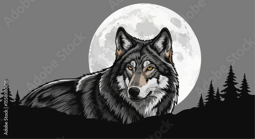 wolf in the night