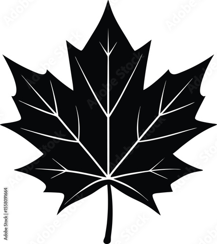 Solid Black Autumn Maple Leaf with Rough Outline