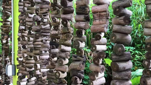 A decorative curtain made from dried tree branches, artistically arranged to create a natural and rustic look. This handmade piece adds a touch of organic charm and earthy texture to any space.