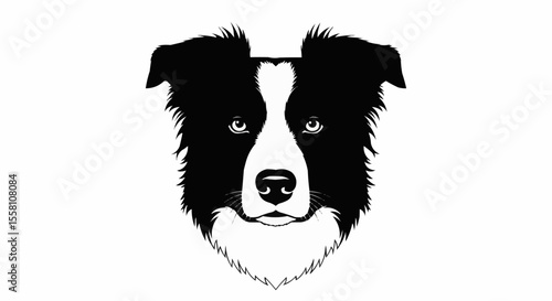 vector image of a dog
