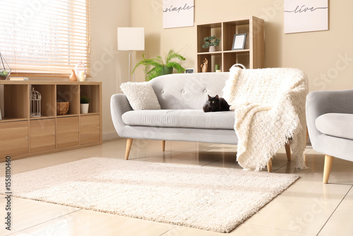 Cute black cat sitting on s...