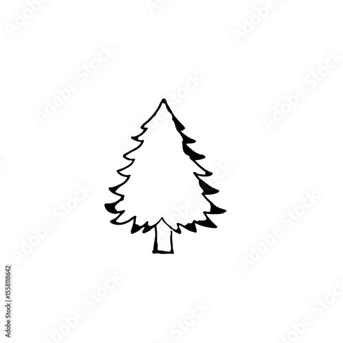 Vector illustration of a not too big spruce tree