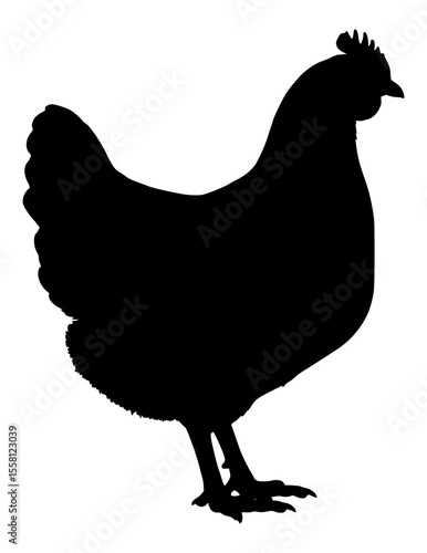 Vector Silhouette Of A Chicken.