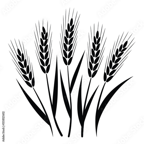Wheat Plant Silhouette Vector Illustration

