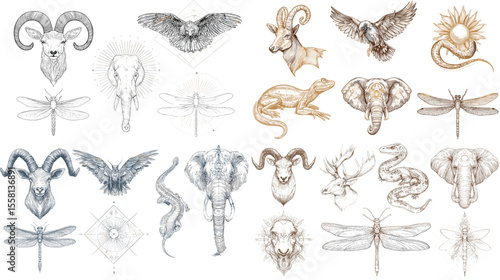 Intricate hand-drawn animal and insect totem illustrations including ram, eagle, dragonfly, elephant, and snake—ideal for tattoos, prints, and spiritual art.

