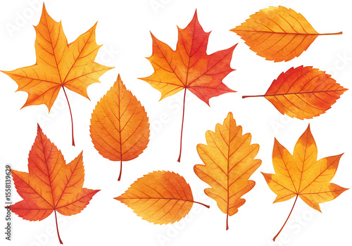 Watercolor Autumn Leaves Collection Orange Red and Yellow Foliage 1.