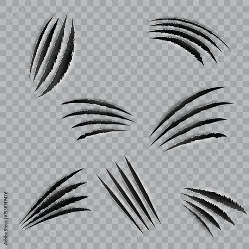Realistic Monster Claw Scratches Animal Paw Marks Collection .Vector illustration