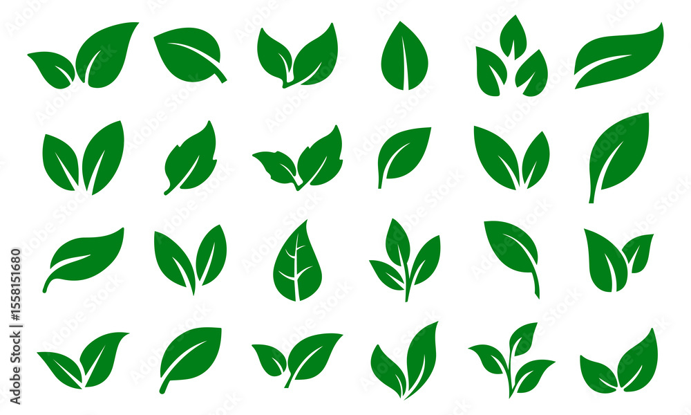 Green leaf icons set. Leaves icon on isolated background. Collection green leaf. Elements design for natural, eco, vegan, bio labels. Vector illustration Green leaf icons set. Leaves icon on isolated background. Collection green leaf. Elements design for natural, eco, vegan, bio labels. Vector illustration