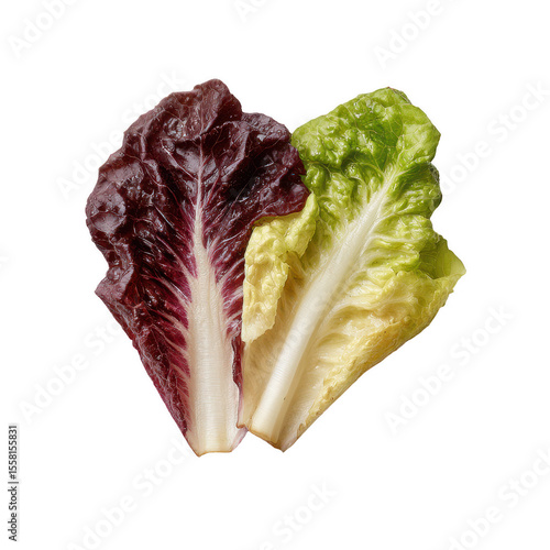 Fresh and vibrant green and red lettuce leaves, showcasing a crisp texture, perfect for salads or garnishing dishes. Isolated on a white background for easy integration.