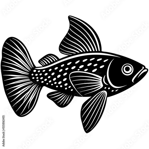 fish on a white background
