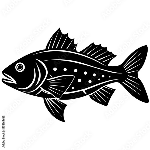 fish on a white background