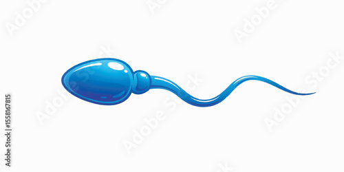 Spermatozoan Structure, Scientific Vector Illustration with Clean Lines