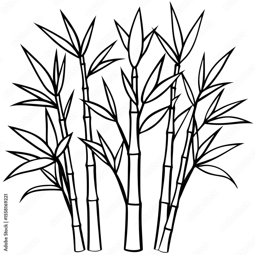 Fototapeta premium Abstract Bamboo Stalks Linear Art Vector