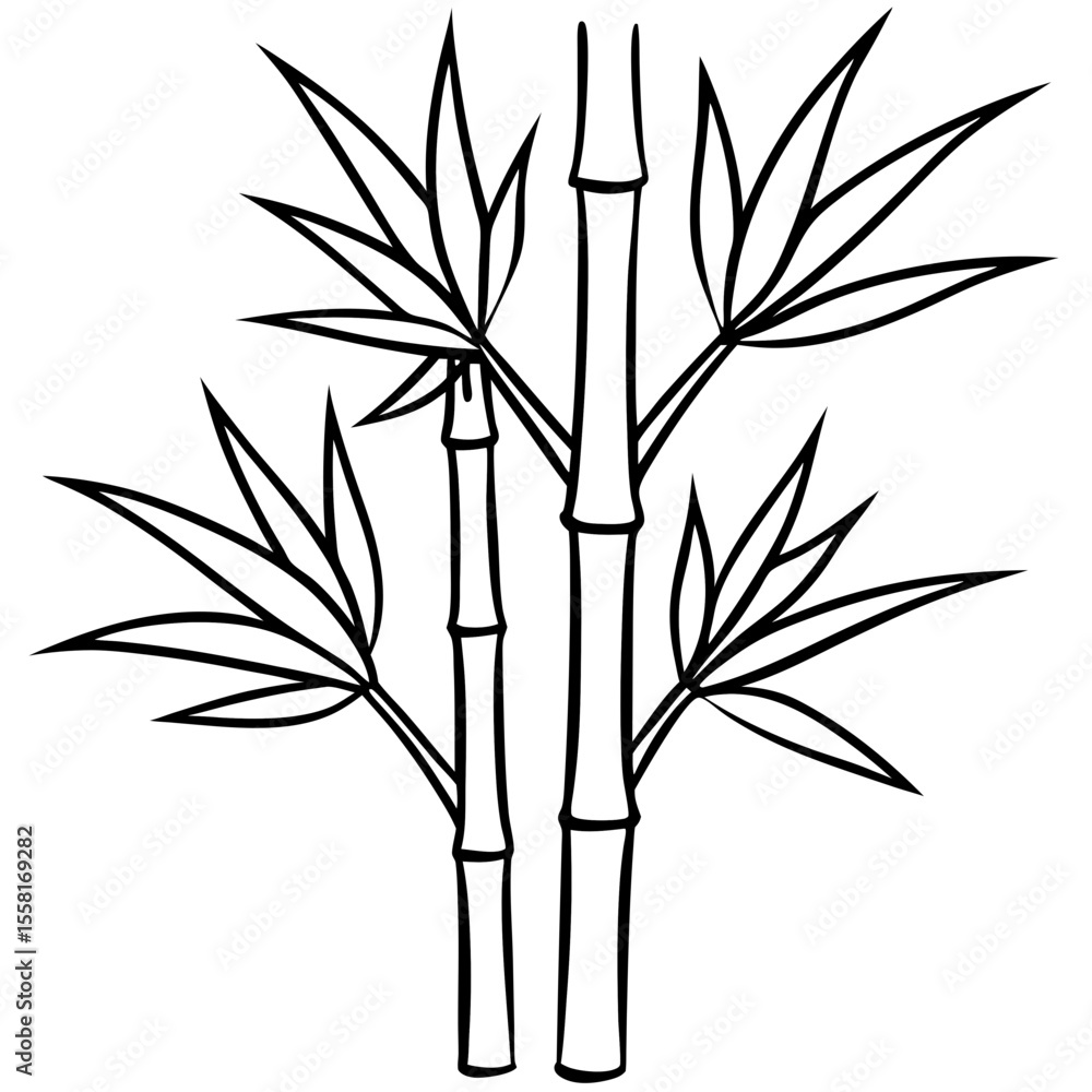 Obraz premium Abstract Bamboo Stalks Linear Art Vector