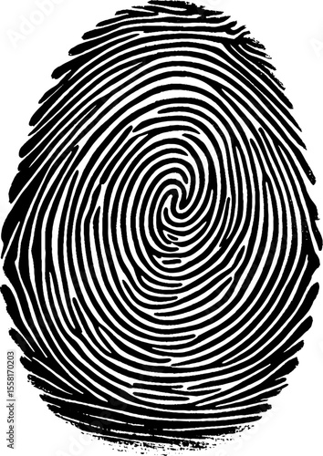 Fingerprint, and finger mark of thumb. Detailed simple thumbprint an evidence of crime. Biometric fingerprint design.