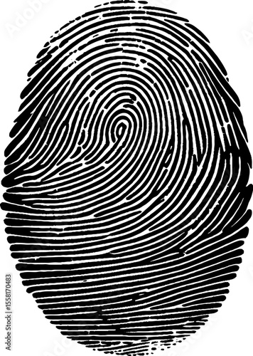 Fingerprint, and finger mark of thumb. Detailed simple thumbprint an evidence of crime. Biometric fingerprint design.