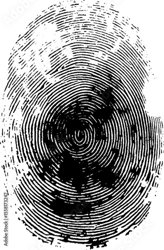 Touch id. Fingerprint recognition. Vector stylish finger print. Vector illustration. 