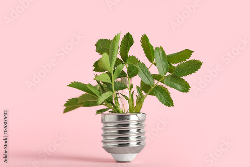 Light bulb with plant leave...