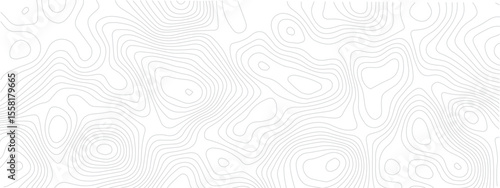 Topographical Landscape Design with Geometric Lines and Grids Mapping Technology, Sea Maps, and Area Spaces in a Modern Pattern

