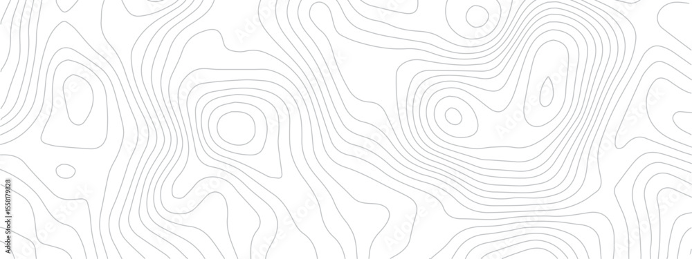Fototapeta premium Contemporary Abstract Topographic Map with Geometric Lines and a Clean Modern Grid Layout on a White Background 