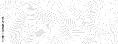 Contemporary Abstract Topographic Map with Geometric Lines and a Clean Modern Grid Layout on a White Background
