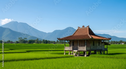 A traditional Javanese wooden house (Joglo) in the middle of a lush green rice field with mountains in the background.