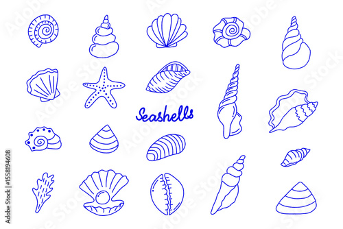 Hand-drawn vector illustration of seashells and starfish, Sea shell collection, summer travel marine kit. Underwater sea shell set, Doodle Outline, Line drawing