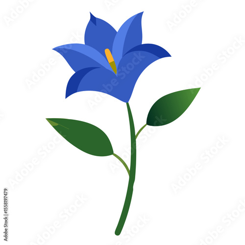 Gentian flower on white background 