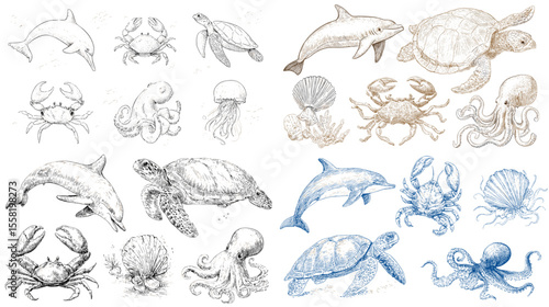 Vintage-style hand-drawn marine animals including dolphins, turtles, crabs, jellyfish, and octopuses—perfect for ocean-themed, educational, or nautical projects.


