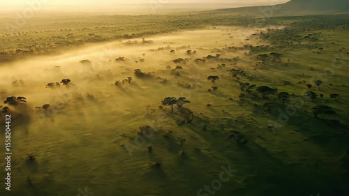 Wallpaper Mural Stunning aerial view of Masai Mara Wildlife Reserve at sunrise revealing mist over the savannah, Aerial view of Masai Mara Wildlife Reserve at sunrise Torontodigital.ca