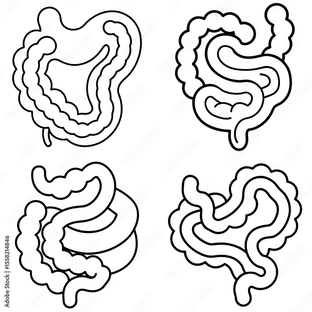 Obraz premium Intestines Coloring Book Page – Human Digestive System Line Art Illustration