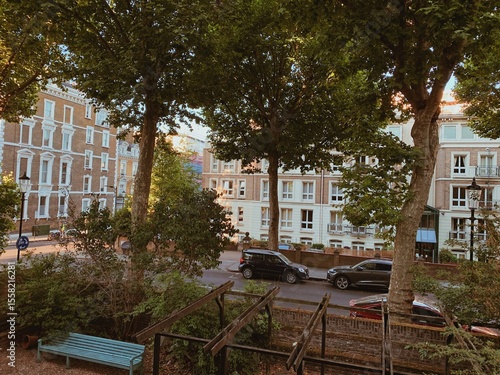Edwardian Townhouses With Sash Windows On A Tree-Lined Street In Notting Hill, Large Mature London Plane Trees (Platanus × Acerifolia), Summertime, Kensington Chelsea, West London, England, UK