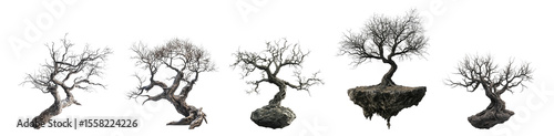 Wallpaper Mural Decorative bonsai trees displayed on isolated white background, Isolated on Transparent, white background Torontodigital.ca