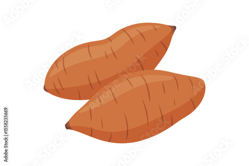 Vector illustration of set of yellow brown sweet potatoes in cartoon flat style. Whole sliced batata or yam isolated on white background. Organic vegetable root, healthy vegan, nutrition carbohydrate