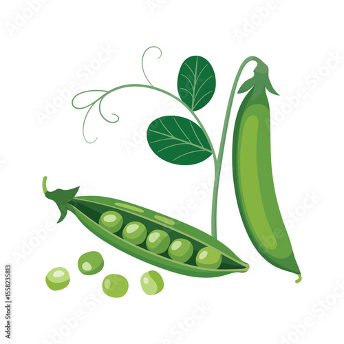 Fresh Green Peas A Vibrant Illustration of Nature's Goodness