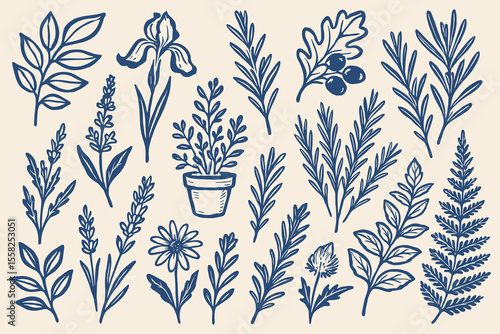 Botanical elegance a harmonious collection of hand drawn floral illustrations creating a timeless botanical design
