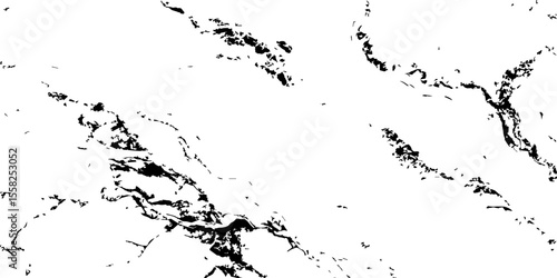 A high-contrast, black and white abstract pattern resembling intricate, organic veins or shattered glass against a pristine white background.