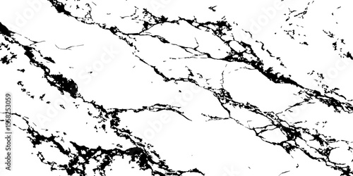 A high-contrast, black and white abstract pattern resembling intricate, organic veins or shattered glass against a pristine white background.