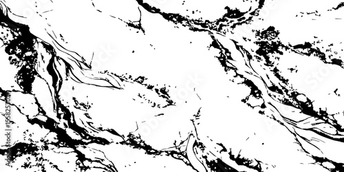 A high-contrast, black and white abstract pattern resembling intricate, organic veins or shattered glass against a pristine white background.