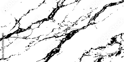 A high-contrast, black and white abstract pattern resembling intricate, organic veins or shattered glass against a pristine white background.