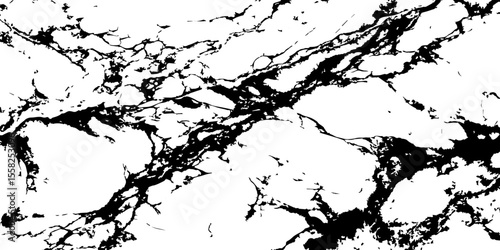 A high-contrast, black and white abstract pattern resembling intricate, organic veins or shattered glass against a pristine white background.