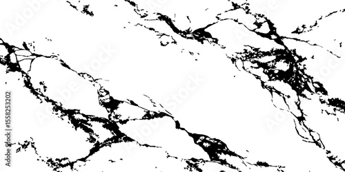 A high-contrast, black and white abstract pattern resembling intricate, organic veins or shattered glass against a pristine white background.