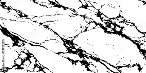 A high-contrast, black and white abstract pattern resembling intricate, organic veins or shattered glass against a pristine white background.