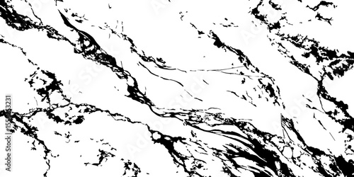 A high-contrast, black and white abstract pattern resembling intricate, organic veins or shattered glass against a pristine white background.