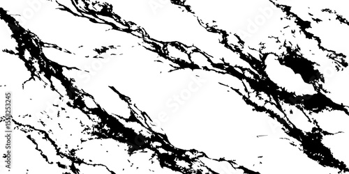 A high-contrast, black and white abstract pattern resembling intricate, organic veins or shattered glass against a pristine white background.
